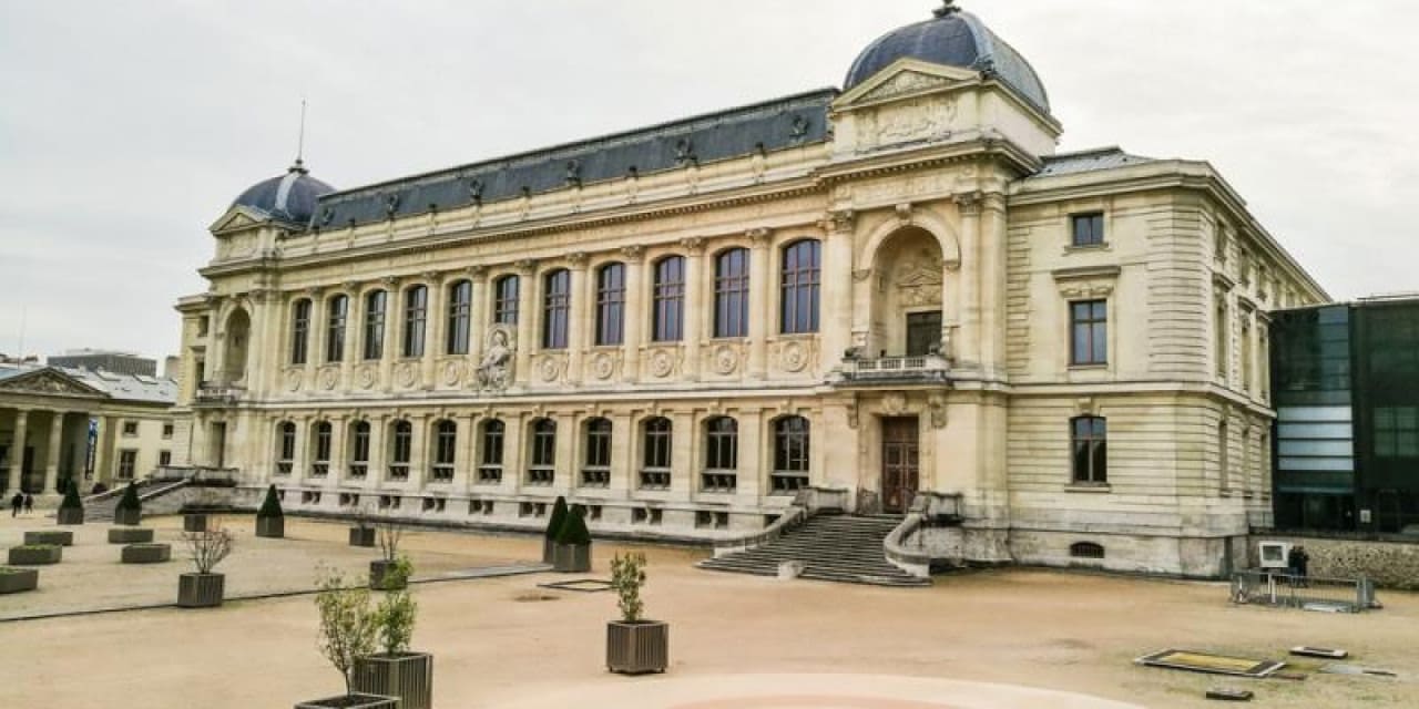 baskentte muze soygunu 29 milyonluk altin calindi JxmVzXX6