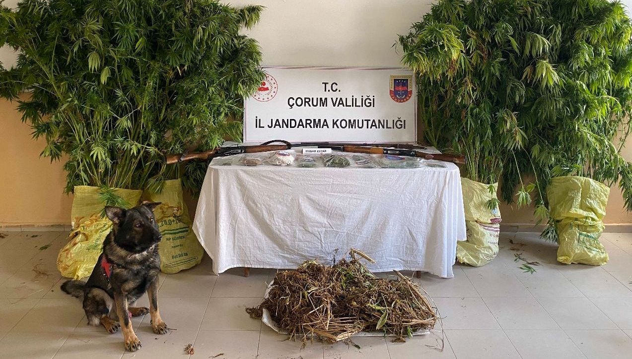 corumda uyusturucu tacirlerine operasyon ETB2cnzF