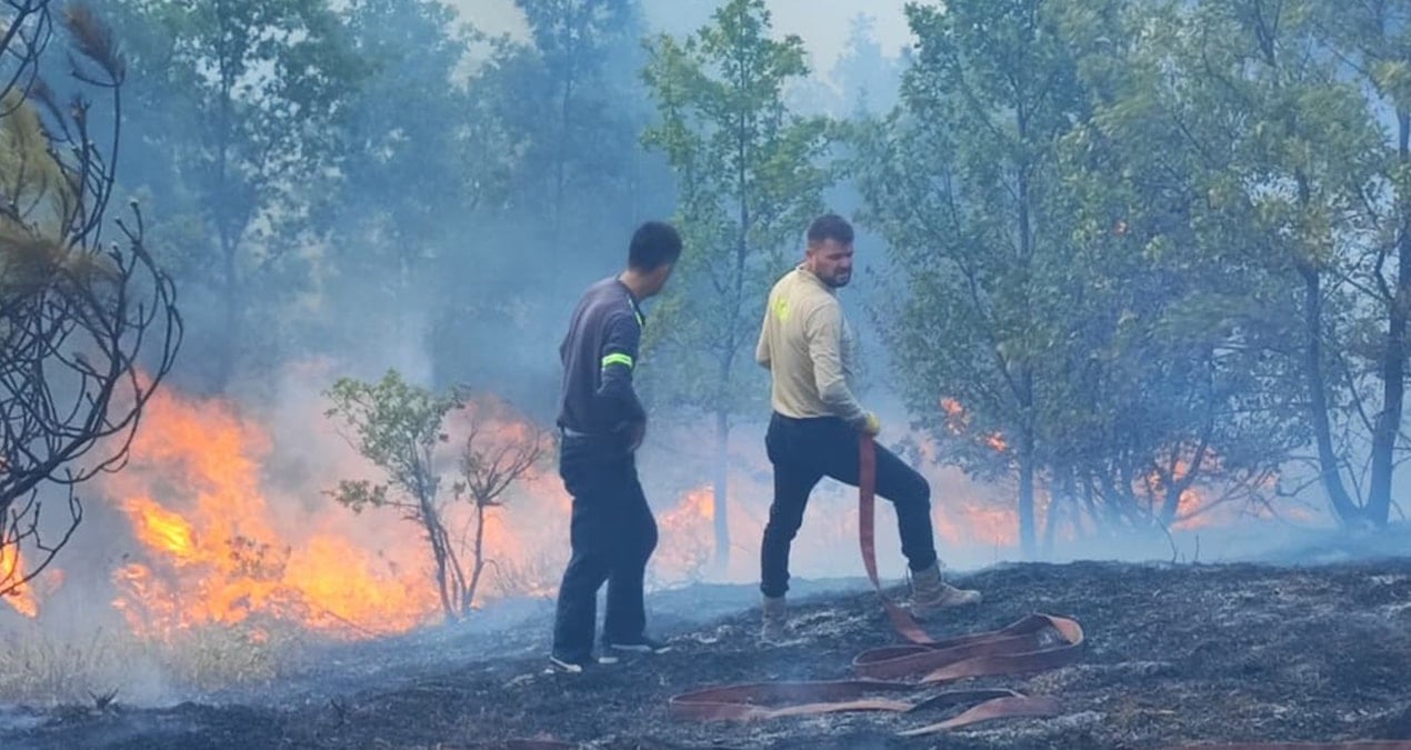 duzcede aniz yangini kontrol altina alindi 9R4BgVCs