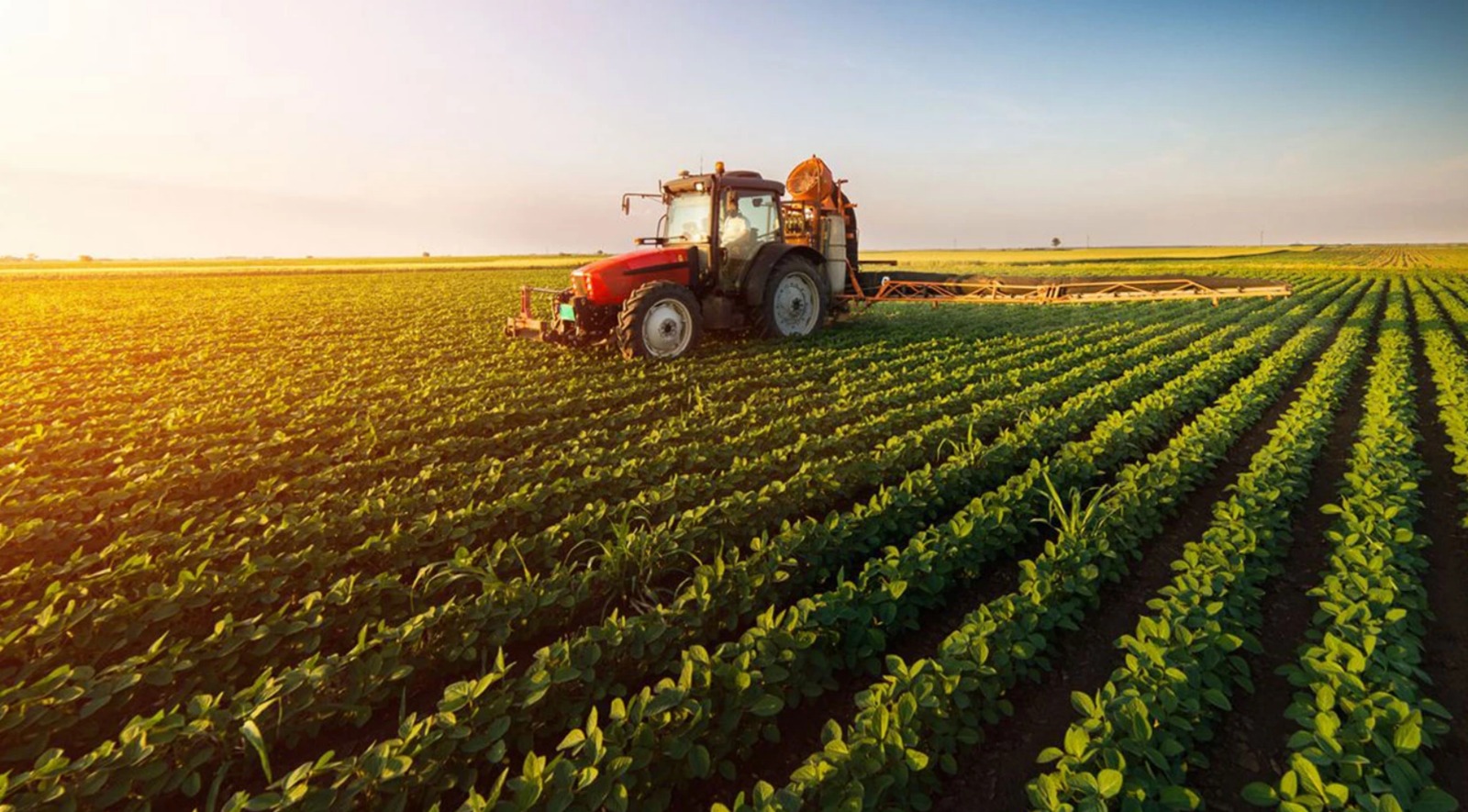 tarim sektorunde kotu haber 6r3gc7kL