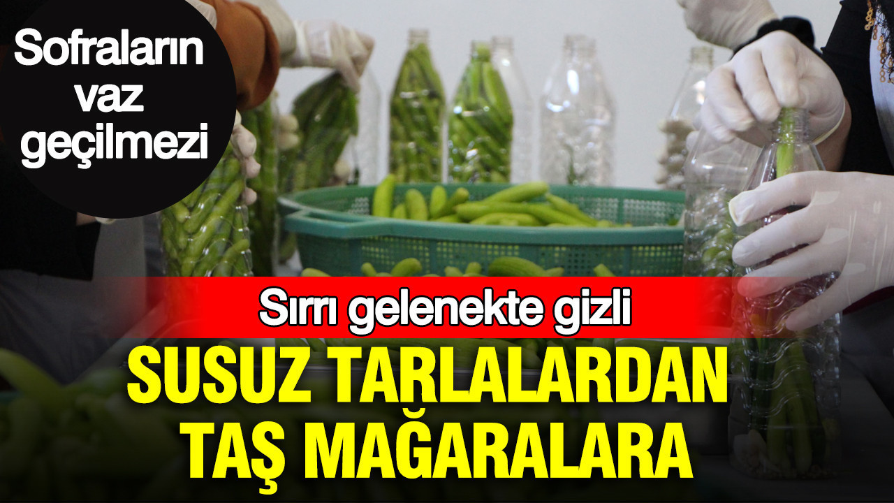 Susuz tarlalardan tas magaralara sirri gelenekte gizli uretim icin kollari sivadilar Gyxj9wFw